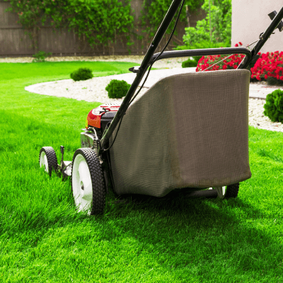 Lawn Mowing